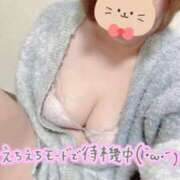 ヒメ日記 2025/04/24 14:46 投稿 ななみ Lolipop（ロリポップ）