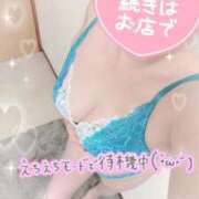 ヒメ日記 2025/06/14 11:56 投稿 ななみ Lolipop（ロリポップ）