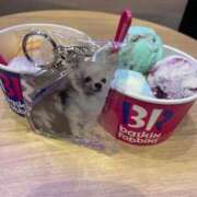 ヒメ日記 2025/09/04 11:56 投稿 ななみ Lolipop（ロリポップ）