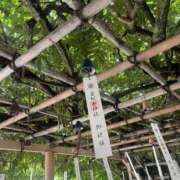 ヒメ日記 2025/09/06 22:16 投稿 ななみ Lolipop（ロリポップ）