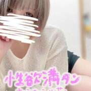 ヒメ日記 2026/08/21 14:56 投稿 ななみ Lolipop（ロリポップ）