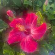 ヒメ日記 2025/02/11 19:49 投稿 まいか 沖縄素人図鑑