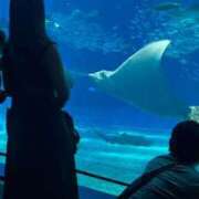 ヒメ日記 2025/04/08 18:48 投稿 まいか 沖縄素人図鑑