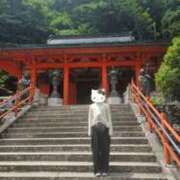 ヒメ日記 2025/07/08 10:50 投稿 さくら 新大阪秘密倶楽部