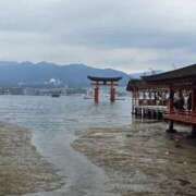 ヒメ日記 2025/08/09 16:10 投稿 さくら 新大阪秘密倶楽部