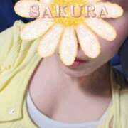 ヒメ日記 2025/08/23 22:00 投稿 さくら 新大阪秘密倶楽部