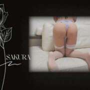 ヒメ日記 2025/08/27 09:15 投稿 さくら 新大阪秘密倶楽部