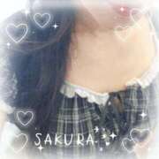 ヒメ日記 2025/09/11 09:05 投稿 さくら 新大阪秘密倶楽部