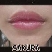 ヒメ日記 2025/09/16 19:00 投稿 さくら 新大阪秘密倶楽部