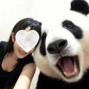 ヒメ日記 2025/10/19 12:40 投稿 さくら 新大阪秘密倶楽部