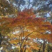 ヒメ日記 2025/11/11 16:00 投稿 さくら 新大阪秘密倶楽部