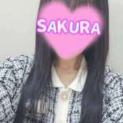 ヒメ日記 2025/11/14 10:30 投稿 さくら 新大阪秘密倶楽部