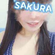 ヒメ日記 2025/12/01 12:10 投稿 さくら 新大阪秘密倶楽部