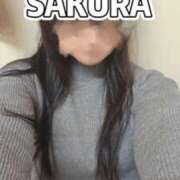 ヒメ日記 2025/12/14 14:05 投稿 さくら 新大阪秘密倶楽部