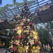 さくら ?( ? ? ? )? 新大阪秘密倶楽部