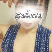 ヒメ日記 2026/01/30 11:10 投稿 さくら 新大阪秘密倶楽部