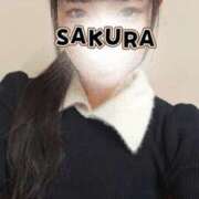 ヒメ日記 2026/02/03 10:35 投稿 さくら 新大阪秘密倶楽部