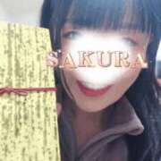 ヒメ日記 2026/02/03 21:15 投稿 さくら 新大阪秘密倶楽部