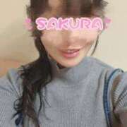 ヒメ日記 2026/02/12 15:45 投稿 さくら 新大阪秘密倶楽部