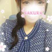 ヒメ日記 2026/02/20 12:25 投稿 さくら 新大阪秘密倶楽部