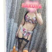 ヒメ日記 2026/02/21 09:50 投稿 さくら 新大阪秘密倶楽部