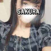 ヒメ日記 2026/03/05 10:55 投稿 さくら 新大阪秘密倶楽部