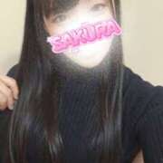 ヒメ日記 2026/03/07 08:55 投稿 さくら 新大阪秘密倶楽部