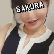 ヒメ日記 2026/04/01 13:20 投稿 さくら 新大阪秘密倶楽部