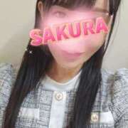 ヒメ日記 2026/04/11 07:20 投稿 さくら 新大阪秘密倶楽部
