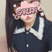 ヒメ日記 2026/04/15 10:30 投稿 さくら 新大阪秘密倶楽部