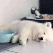 ヒメ日記 2025/02/27 00:42 投稿 りな 熟女の風俗アウトレット大垣安八羽島店