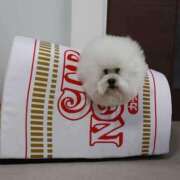 ヒメ日記 2025/02/27 11:26 投稿 りな 熟女の風俗アウトレット大垣安八羽島店