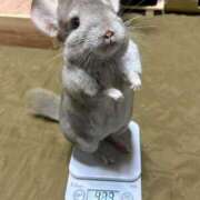 ヒメ日記 2025/02/28 09:06 投稿 りな 熟女の風俗アウトレット大垣安八羽島店