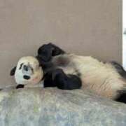 ヒメ日記 2025/03/01 07:36 投稿 りな 熟女の風俗アウトレット大垣安八羽島店