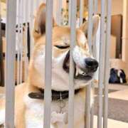 ヒメ日記 2025/03/01 18:46 投稿 りな 熟女の風俗アウトレット大垣安八羽島店