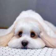 ヒメ日記 2025/03/02 14:16 投稿 りな 熟女の風俗アウトレット大垣安八羽島店