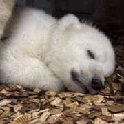 ヒメ日記 2025/03/18 22:30 投稿 りな 熟女の風俗アウトレット大垣安八羽島店