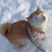 ヒメ日記 2025/03/19 15:46 投稿 りな 熟女の風俗アウトレット大垣安八羽島店