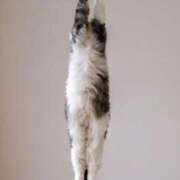 ヒメ日記 2025/03/20 07:36 投稿 りな 熟女の風俗アウトレット大垣安八羽島店