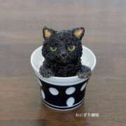 ヒメ日記 2025/03/22 06:36 投稿 りな 熟女の風俗アウトレット大垣安八羽島店