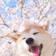 ヒメ日記 2025/03/24 08:56 投稿 りな 熟女の風俗アウトレット大垣安八羽島店