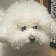 ヒメ日記 2025/03/25 08:56 投稿 りな 熟女の風俗アウトレット大垣安八羽島店