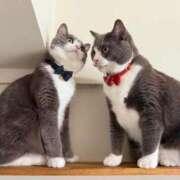 ヒメ日記 2025/03/26 09:56 投稿 りな 熟女の風俗アウトレット大垣安八羽島店