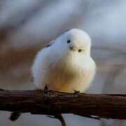 ヒメ日記 2025/03/27 08:19 投稿 りな 熟女の風俗アウトレット大垣安八羽島店