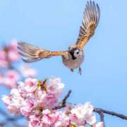 ヒメ日記 2025/03/29 10:36 投稿 りな 熟女の風俗アウトレット大垣安八羽島店