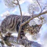 ヒメ日記 2025/04/10 15:36 投稿 りな 熟女の風俗アウトレット大垣安八羽島店