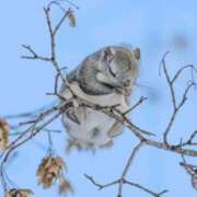 ヒメ日記 2025/04/13 08:26 投稿 りな 熟女の風俗アウトレット大垣安八羽島店