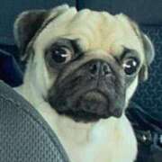 ヒメ日記 2025/04/15 10:46 投稿 りな 熟女の風俗アウトレット大垣安八羽島店