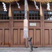 ヒメ日記 2025/04/17 08:56 投稿 りな 熟女の風俗アウトレット大垣安八羽島店