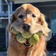 ヒメ日記 2025/04/17 22:06 投稿 りな 熟女の風俗アウトレット大垣安八羽島店
